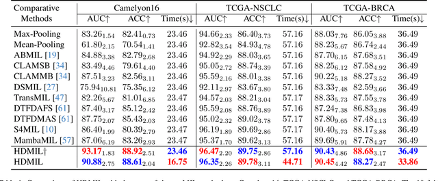 Figure 2 for Fast and Accurate Gigapixel Pathological Image Classification with Hierarchical Distillation Multi-Instance Learning