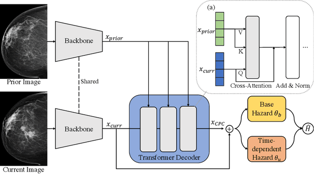 Figure 1 for Enhancing Breast Cancer Risk Prediction by Incorporating Prior Images
