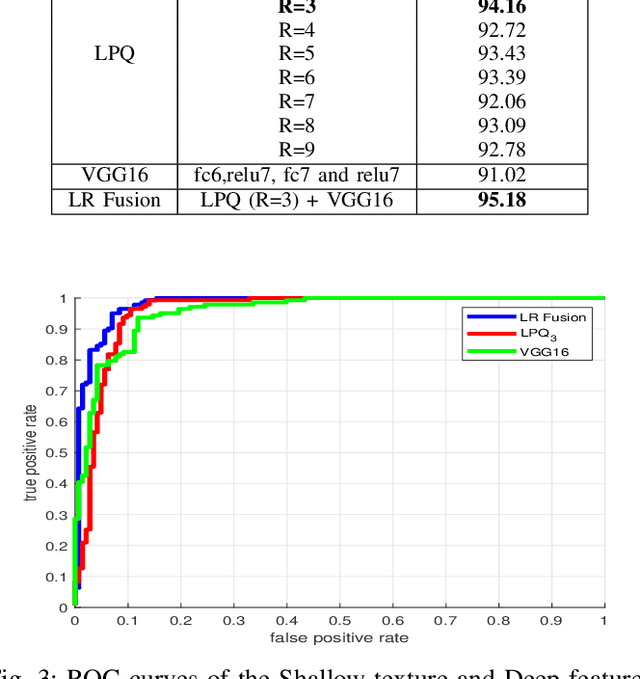 Figure 3 for Enhancing Kinship Verification through Multiscale Retinex and Combined Deep-Shallow features