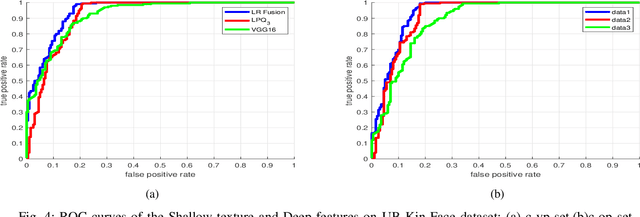 Figure 4 for Enhancing Kinship Verification through Multiscale Retinex and Combined Deep-Shallow features