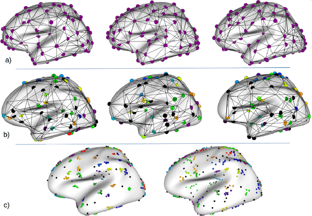 Figure 4 for Population-wise Labeling of Sulcal Graphs using Multi-graph Matching