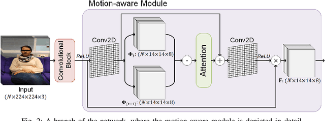 Figure 2 for MAMAF-Net: Motion-Aware and Multi-Attention Fusion Network for Stroke Diagnosis
