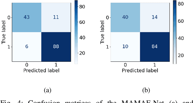 Figure 4 for MAMAF-Net: Motion-Aware and Multi-Attention Fusion Network for Stroke Diagnosis