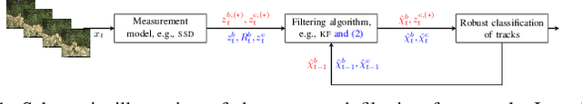 Figure 1 for Extended target tracking utilizing machine-learning software -- with applications to animal classification