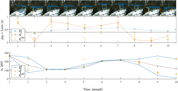 Figure 3 for Extended target tracking utilizing machine-learning software -- with applications to animal classification