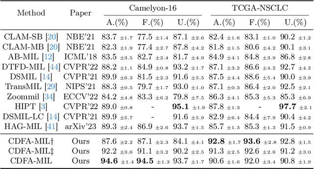 Figure 2 for Towards Efficient Information Fusion: Concentric Dual Fusion Attention Based Multiple Instance Learning for Whole Slide Images