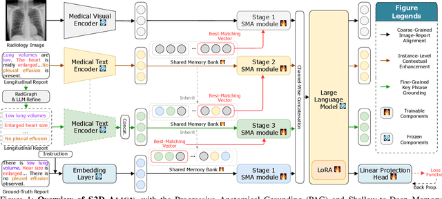 Figure 1 for S2D-ALIGN: Shallow-to-Deep Auxiliary Learning for Anatomically-Grounded Radiology Report Generation