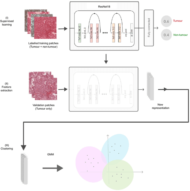 Figure 4 for Primary liver cancer classification from routine tumour biopsy using weakly supervised deep learning