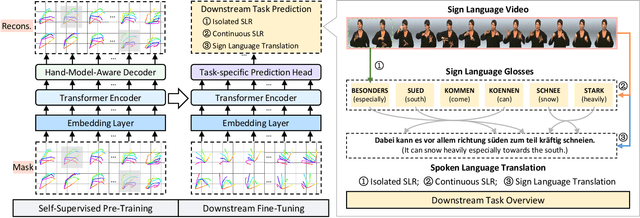Figure 1 for SignBERT+: Hand-model-aware Self-supervised Pre-training for Sign Language Understanding