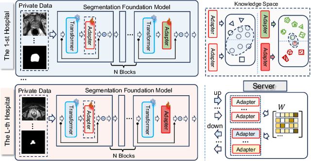 Figure 1 for FedSCA: Federated Tuning with Similarity-guided Collaborative Aggregation for Heterogeneous Medical Image Segmentation