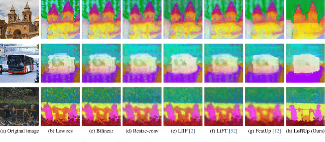 Figure 3 for LoftUp: Learning a Coordinate-Based Feature Upsampler for Vision Foundation Models