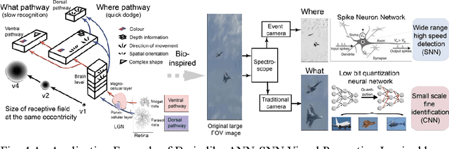 Figure 4 for Research Advances and New Paradigms for Biology-inspired Spiking Neural Networks