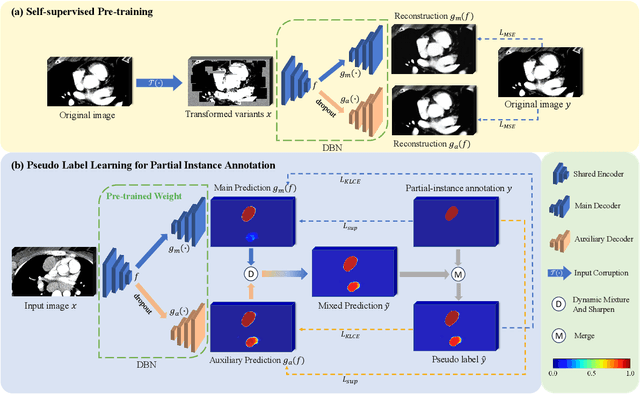 Figure 1 for Weakly Supervised Lymph Nodes Segmentation Based on Partial Instance Annotations with Pre-trained Dual-branch Network and Pseudo Label Learning