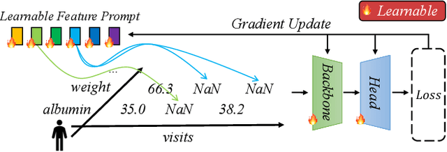 Figure 3 for Learnable Prompt as Pseudo-Imputation: Reassessing the Necessity of Traditional EHR Data Imputation in Downstream Clinical Prediction