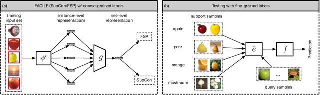 Figure 3 for Enhancing Instance-Level Image Classification with Set-Level Labels
