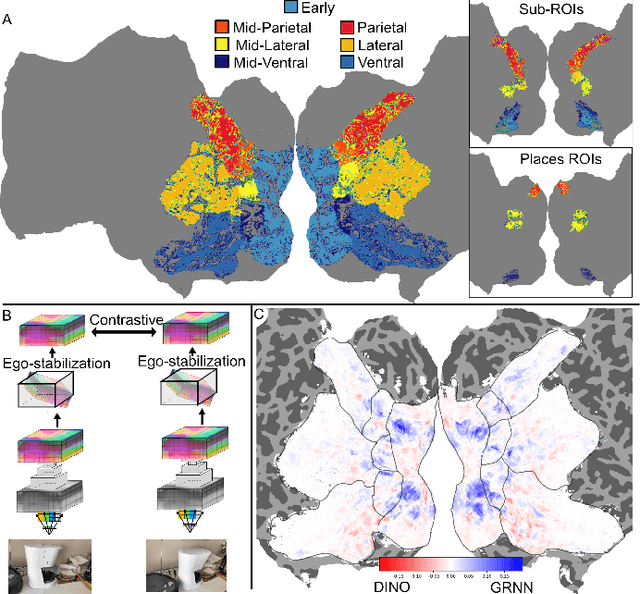 Figure 1 for 3D View Prediction Models of the Dorsal Visual Stream