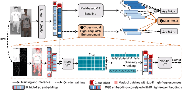 Figure 3 for ProtoHPE: Prototype-guided High-frequency Patch Enhancement for Visible-Infrared Person Re-identification