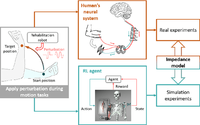 Figure 1 for Replication of Impedance Identification Experiments on a Reinforcement-Learning-Controlled Digital Twin of Human Elbows