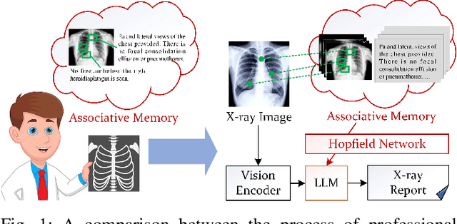 Figure 1 for Activating Associative Disease-Aware Vision Token Memory for LLM-Based X-ray Report Generation