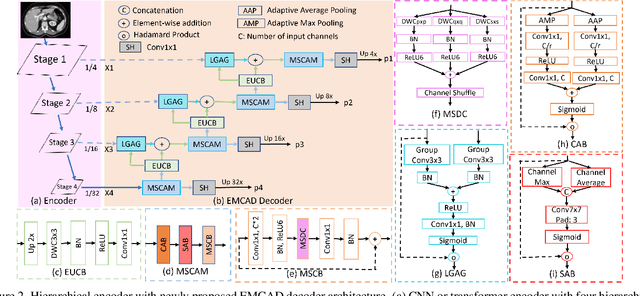 Figure 3 for EMCAD: Efficient Multi-scale Convolutional Attention Decoding for Medical Image Segmentation