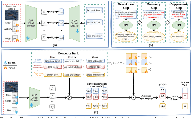 Figure 3 for Attribute-formed Class-specific Concept Space: Endowing Language Bottleneck Model with Better Interpretability and Scalability