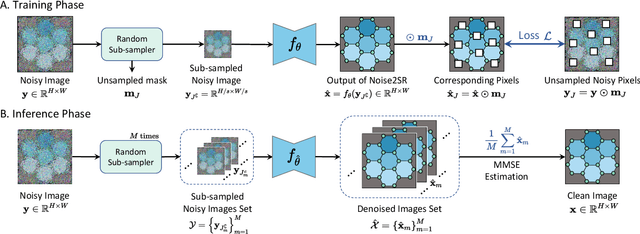 Figure 1 for Zero-Shot Image Denoising for High-Resolution Electron Microscopy