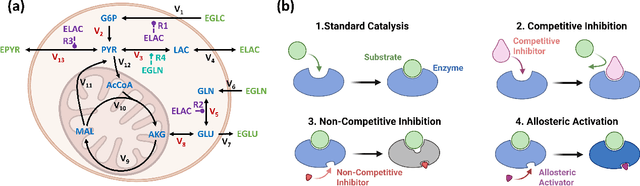 Figure 1 for A Symbolic and Statistical Learning Framework to Discover Bioprocessing Regulatory Mechanism: Cell Culture Example