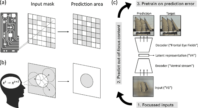 Figure 1 for Masked Image Modeling as a Framework for Self-Supervised Learning across Eye Movements