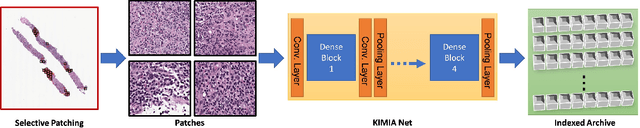 Figure 3 for Immunohistochemistry Biomarkers-Guided Image Search for Histopathology