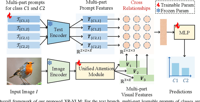 Figure 3 for XR-VLM: Cross-Relationship Modeling with Multi-part Prompts and Visual Features for Fine-Grained Recognition