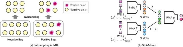 Figure 3 for Slot-Mixup with Subsampling: A Simple Regularization for WSI Classification