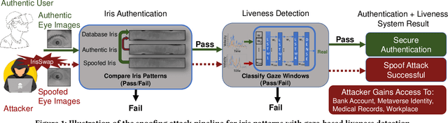 Figure 1 for Swap It Like Its Hot: Segmentation-based spoof attacks on eye-tracking images