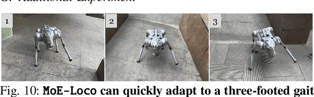 Figure 1 for MoE-Loco: Mixture of Experts for Multitask Locomotion