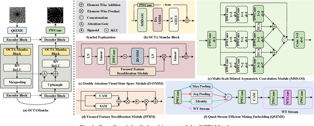 Figure 1 for OCTAMamba: A State-Space Model Approach for Precision OCTA Vasculature Segmentation