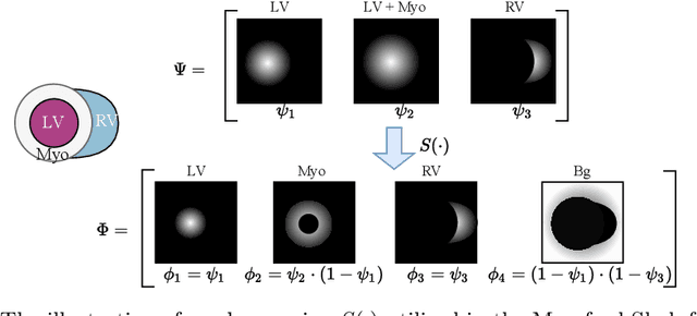 Figure 3 for Unsupervised Cardiac Segmentation Utilizing Synthesized Images from Anatomical Labels