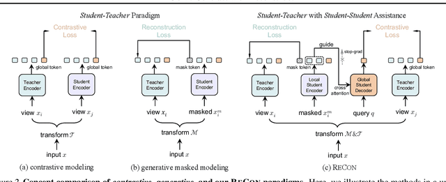 Figure 3 for Contrast with Reconstruct: Contrastive 3D Representation Learning Guided by Generative Pretraining