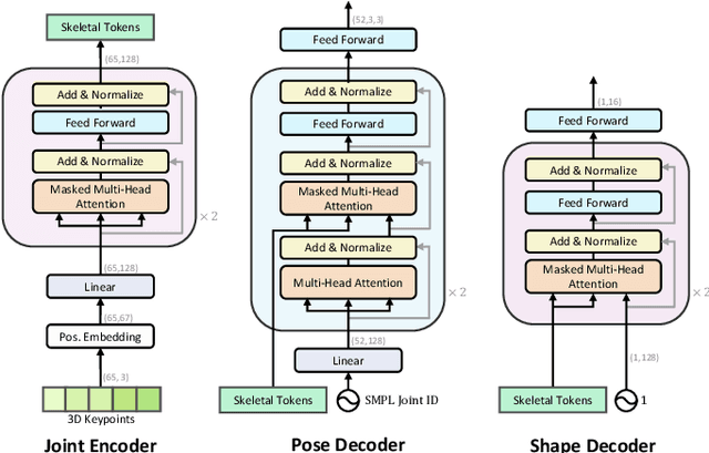 Figure 2 for SkelFormer: Markerless 3D Pose and Shape Estimation using Skeletal Transformers