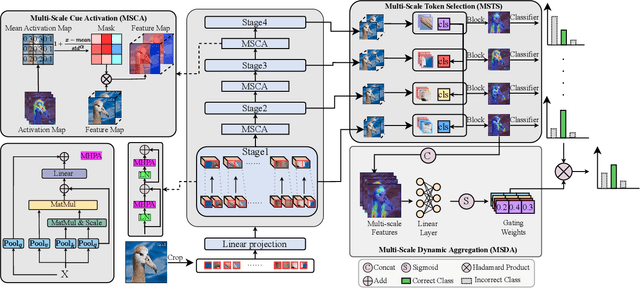 Figure 3 for Multi-scale Activation, Refinement, and Aggregation: Exploring Diverse Cues for Fine-Grained Bird Recognition