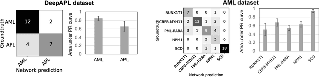 Figure 3 for Pixel-Level Explanation of Multiple Instance Learning Models in Biomedical Single Cell Images