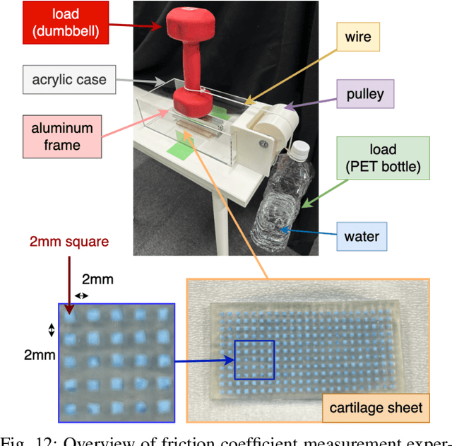 Figure 3 for Designing Fluid-Exuding Cartilage for Biomimetic Robots Mimicking Human Joint Lubrication Function