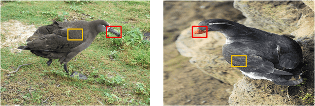 Figure 3 for Learning More Discriminative Local Descriptors for Few-shot Learning