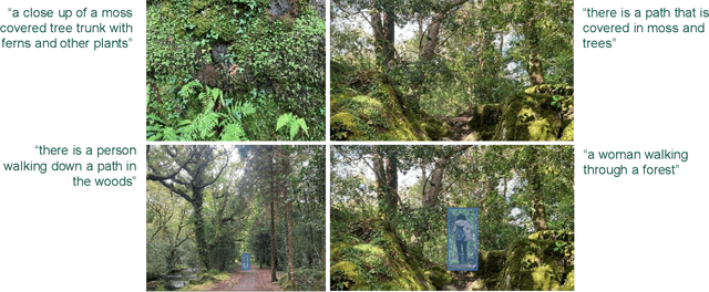 Figure 4 for Synocene, Beyond the Anthropocene: De-Anthropocentralising Human-Nature-AI Interaction