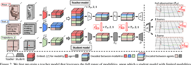 Figure 3 for Multi-modal Knowledge Distillation-based Human Trajectory Forecasting