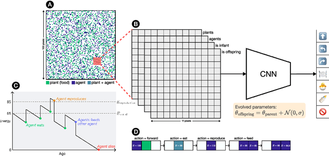 Figure 1 for Emergent kin selection of altruistic feeding via non-episodic neuroevolution