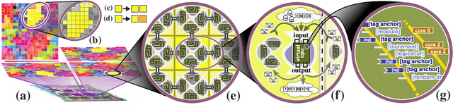 Figure 1 for Case Study of Novelty, Complexity, and Adaptation in a Multicellular System