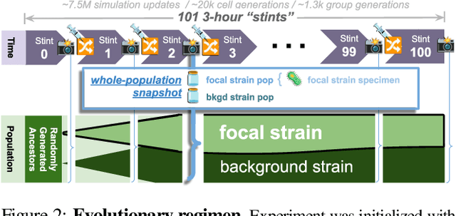 Figure 3 for Case Study of Novelty, Complexity, and Adaptation in a Multicellular System