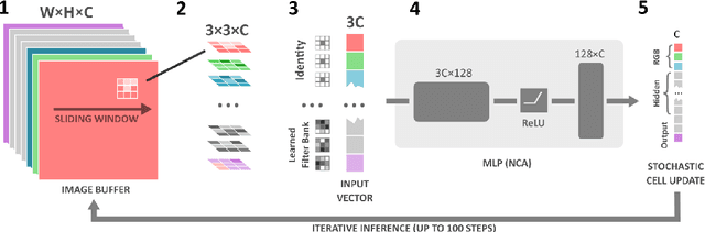 Figure 3 for eNCApsulate: NCA for Precision Diagnosis on Capsule Endoscopes