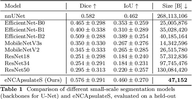 Figure 2 for eNCApsulate: NCA for Precision Diagnosis on Capsule Endoscopes
