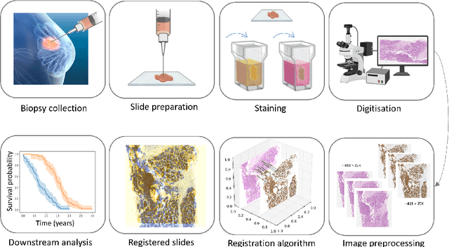 Figure 1 for From Traditional to Deep Learning Approaches in Whole Slide Image Registration: A Methodological Review