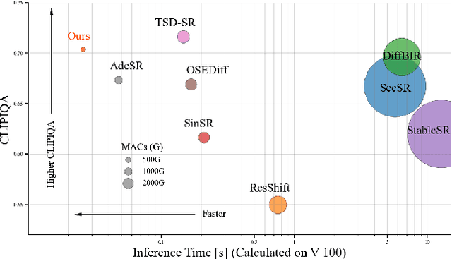 Figure 3 for TinySR: Pruning Diffusion for Real-World Image Super-Resolution